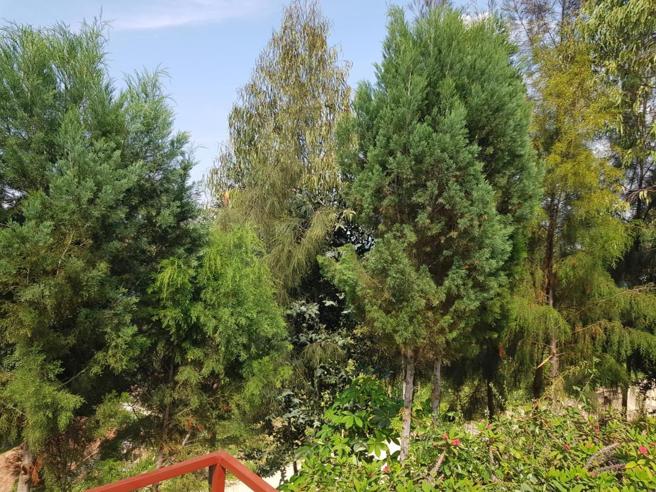 Rebero Kivu Resort Kibuye Kültér fotó