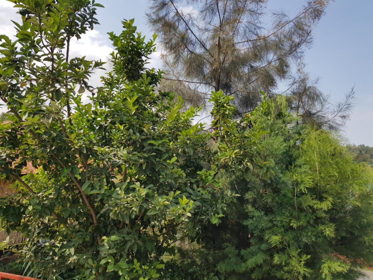 Rebero Kivu Resort Kibuye Kültér fotó